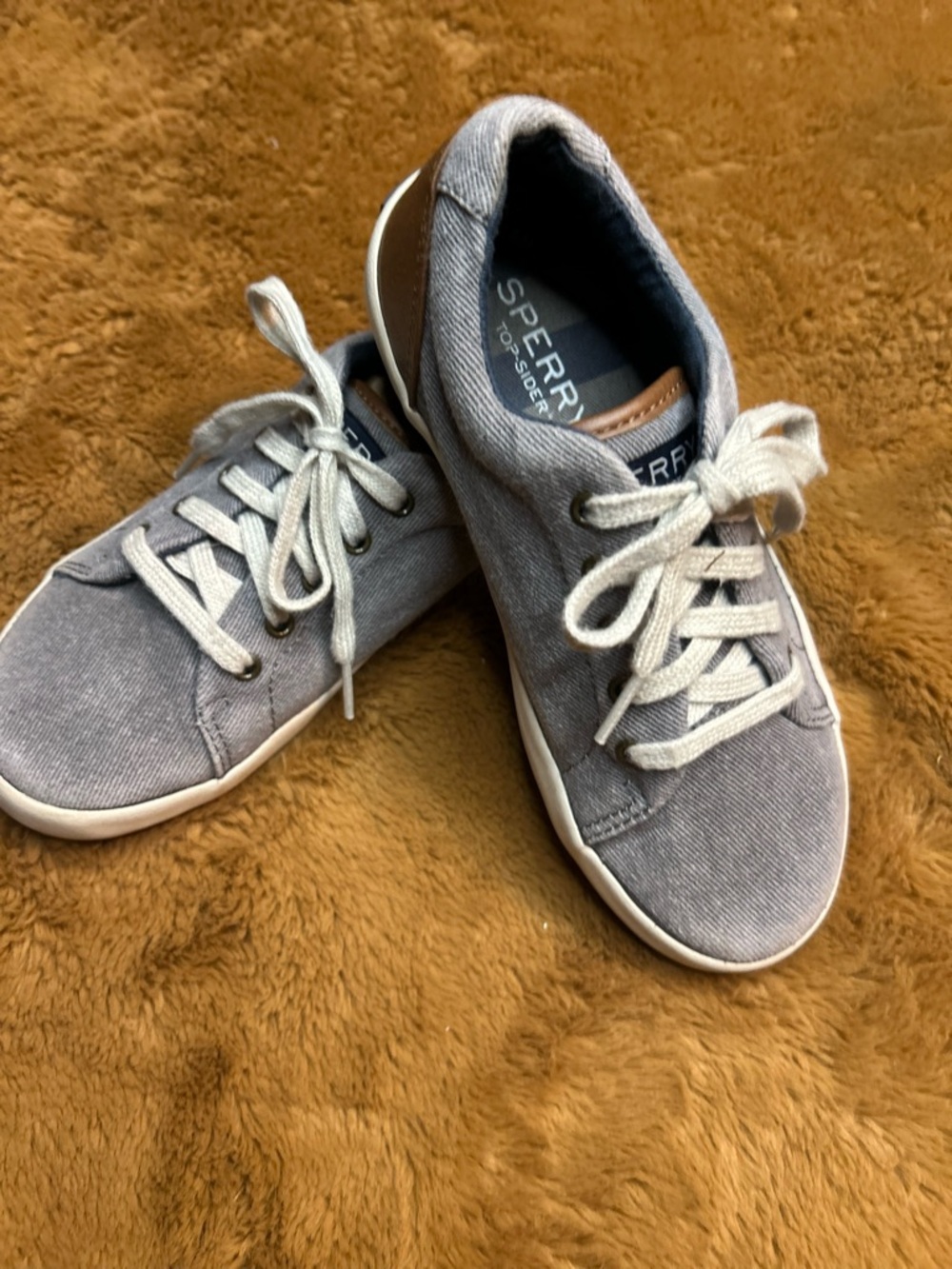 Sperry Light Gray Canvas Low-Top Sneaker
